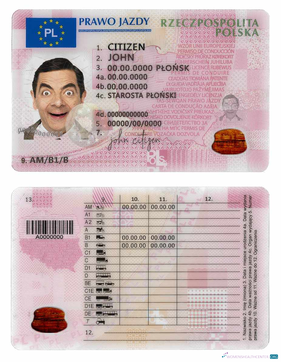 download Poland DL 2019   present